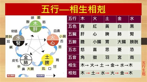 水剋金|五行相剋一目了然：木土水火金，相生相剋口訣記住它！